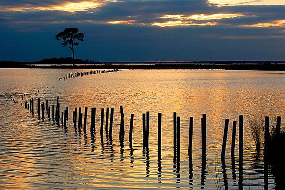 Blackwater National Wildlife Refuge, MD